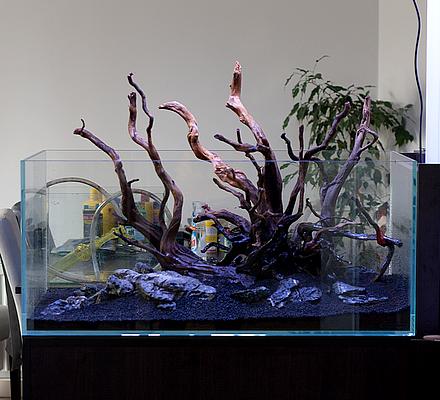 akwarium dekoracyjne zakładanie akwarium 90x45x45 mizube serwis akwariów projektowanie akwariów mini