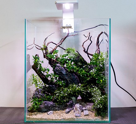 akwarium dekoracyjne aquael shrimp set smart zakładanie akwarium akwariów aquascape nature aquarium warszawa mini
