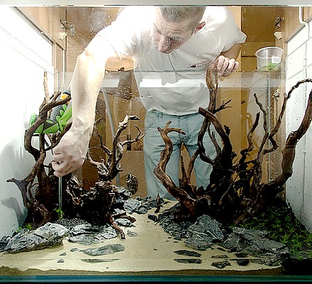 zakładanie akwariów zakładanie akwarium akwarium w ścianie hardscape projekt akwarium warszawa mini