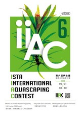 IIAC 2020 Contest